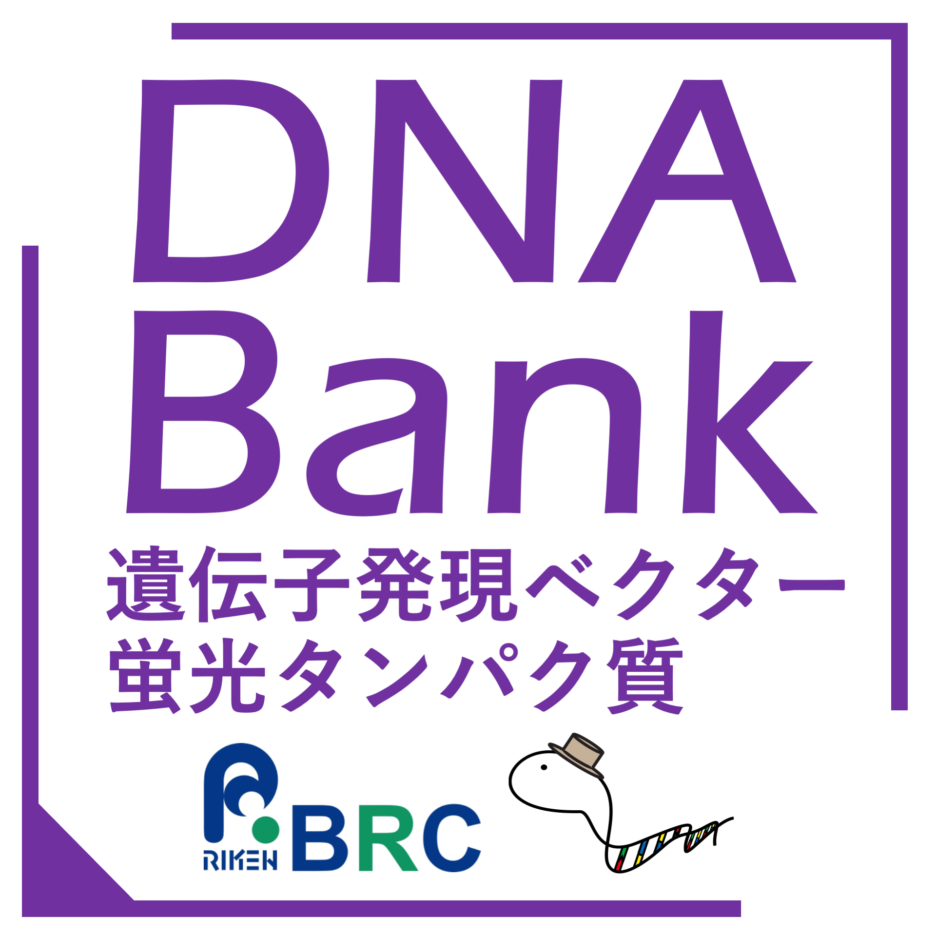 NBRP「遺伝子材料」（理研BRC）